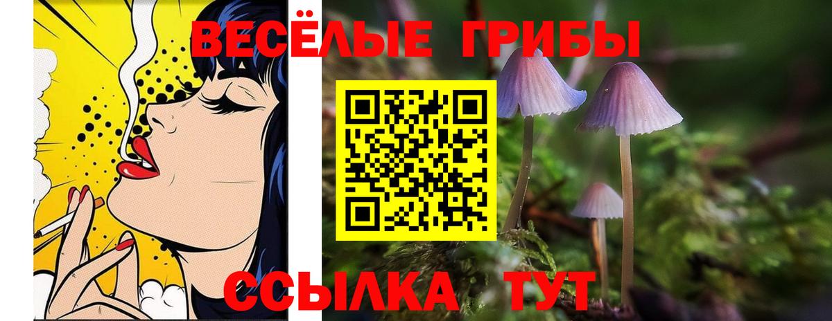 Галлюциногенные грибы Cubensis  Вход с VPN  купить   Волхов 