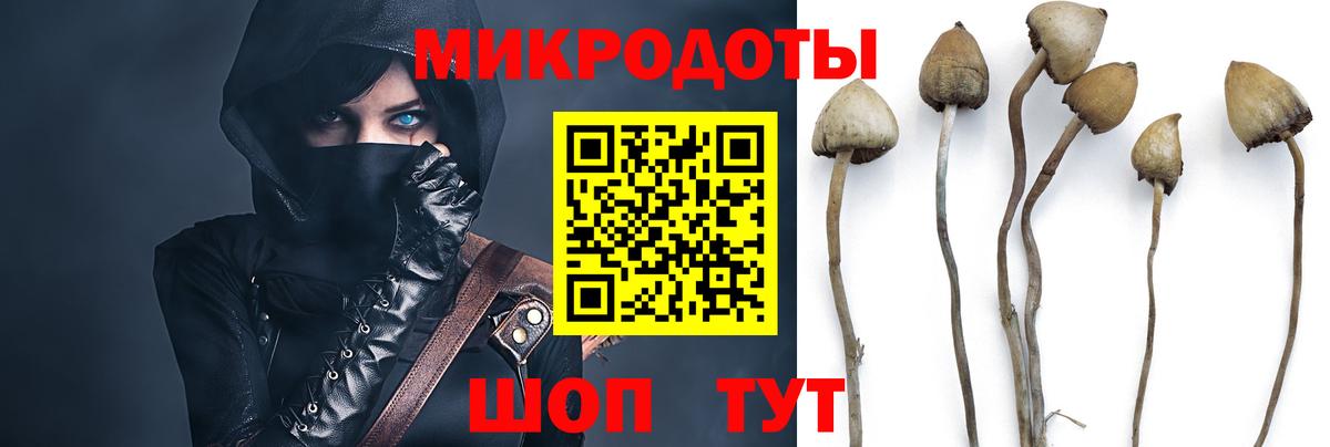Галлюциногенные грибы мухоморы Волхов